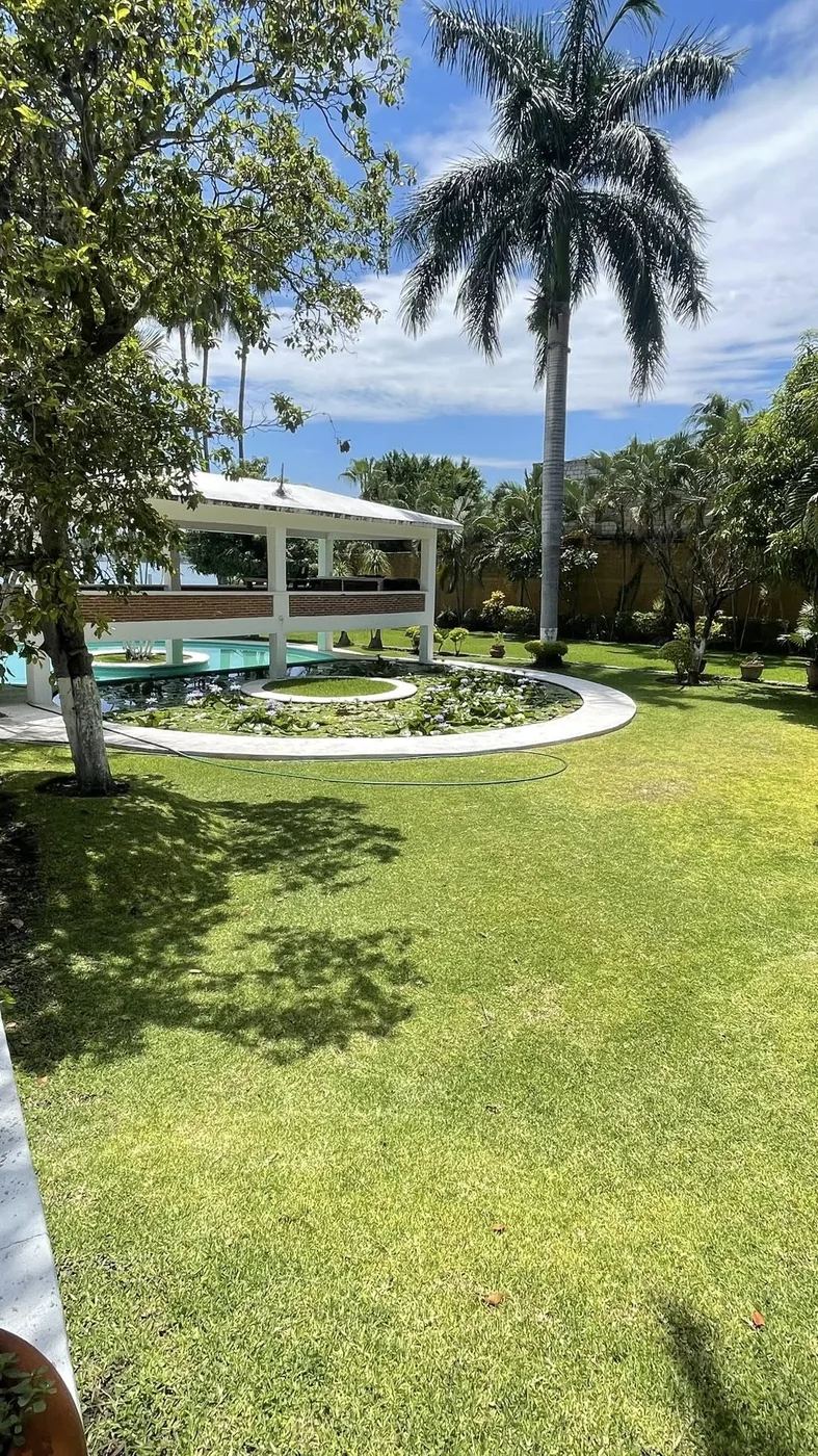 Jardín con palapa y alberca